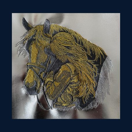 SO 11 - Pferd with a horse