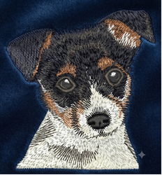 TR 01 - Jack Russell