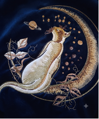 TR 04 - Katze im Mond